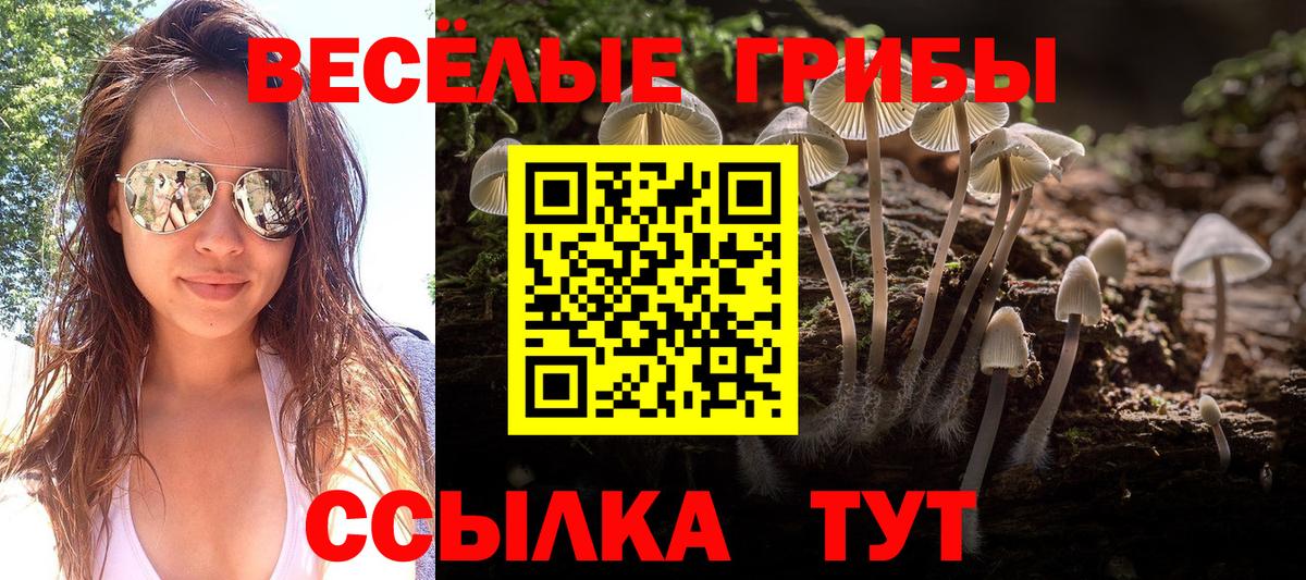 Галлюциногенные грибы Magic Shrooms Подольск