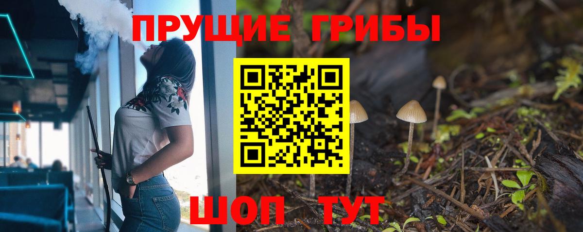 Подольск  Галлюциногенные грибы Psilocybe  Псилоцибиновые грибы Psilocybine cubensis  Вход с VPN 
